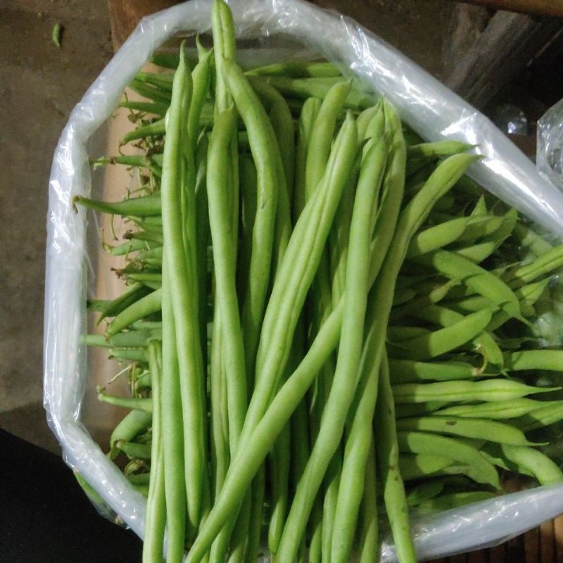 

Buncis sayur fresh 250gr harga murah