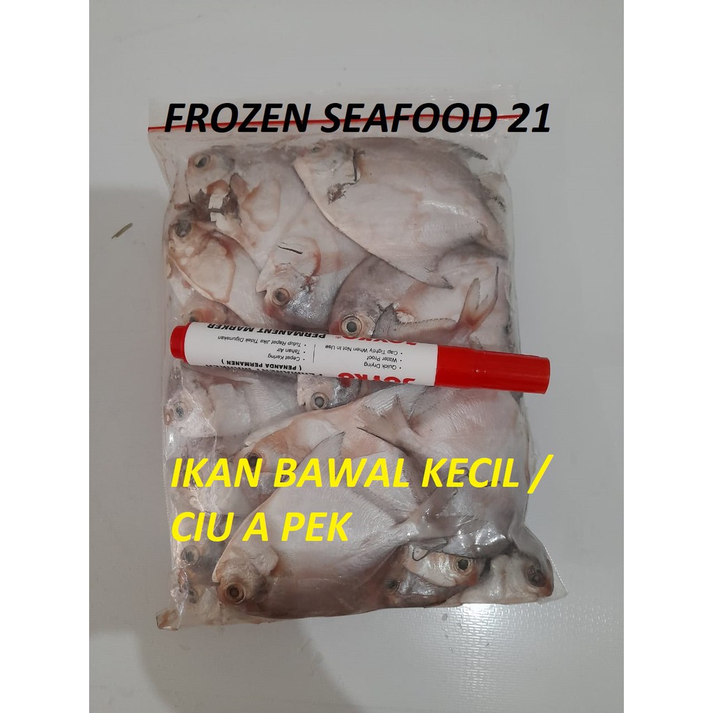 

ikan bawal kecil / ciu a pek / seafood / riau / bagan
