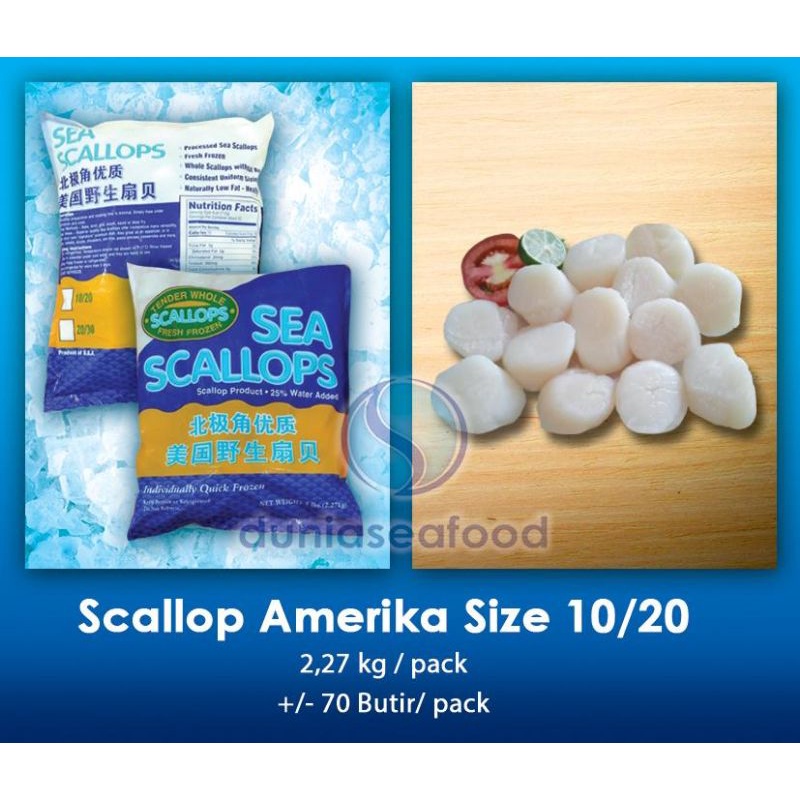

Scallop Amerika Size 10/20 2,27 kg/pack +/- 70 butir/pack