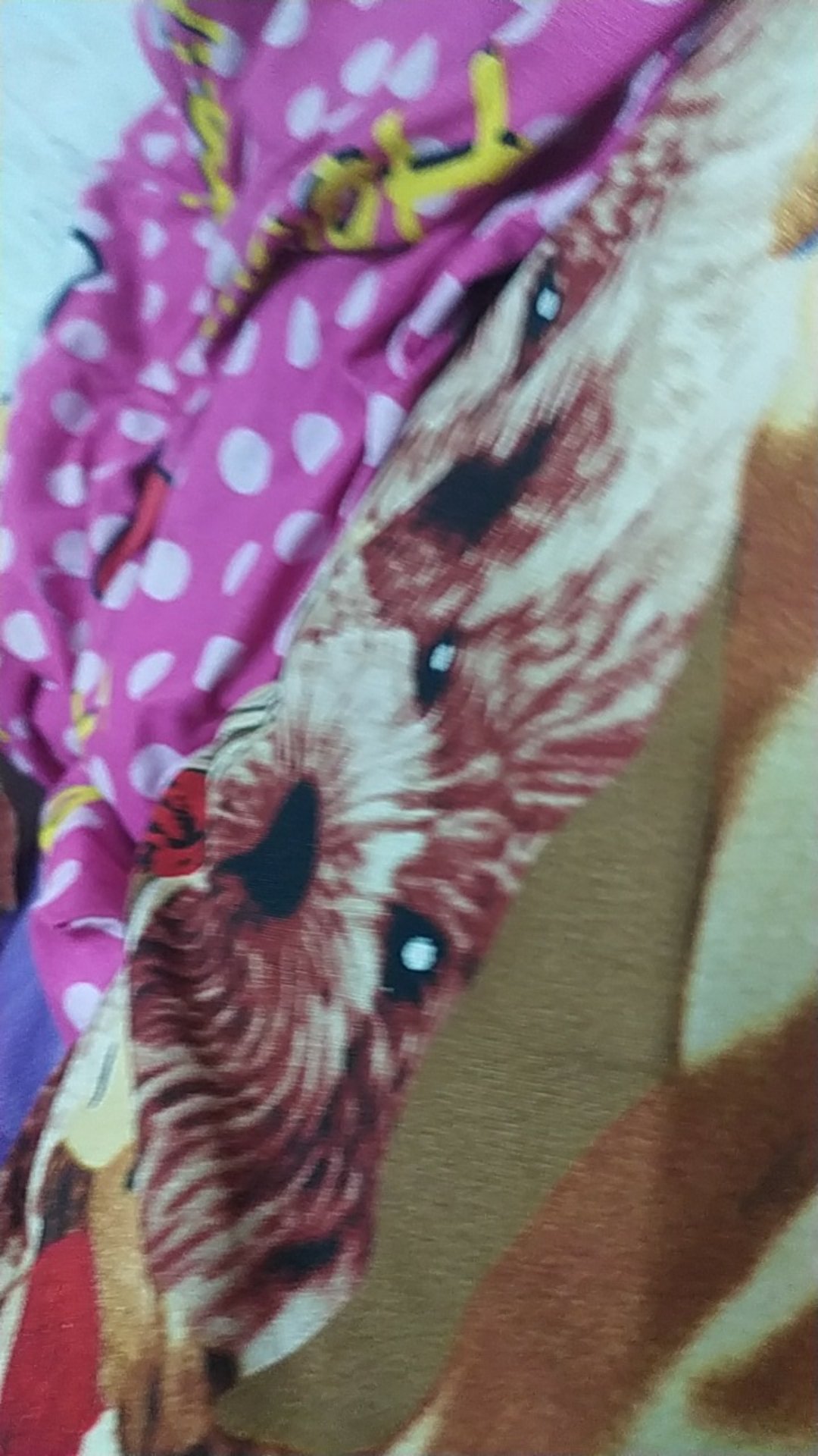 Promo Smart Roller Paint Original 2 Roller