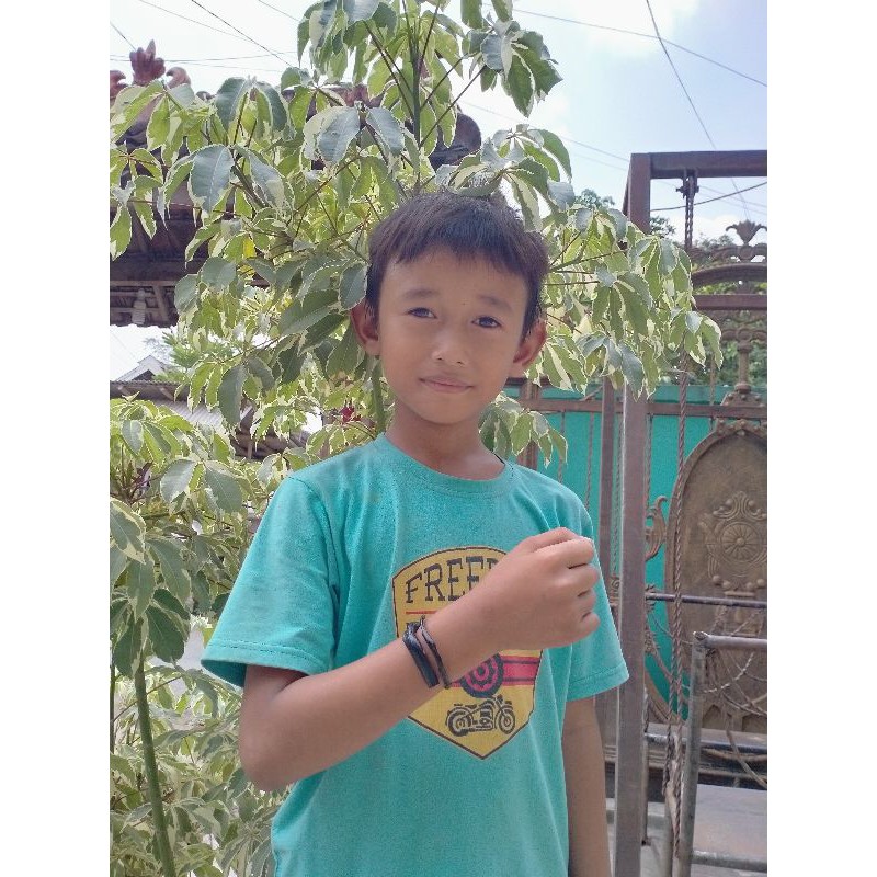 gelang akar bahar hitam ukuran anak kecil