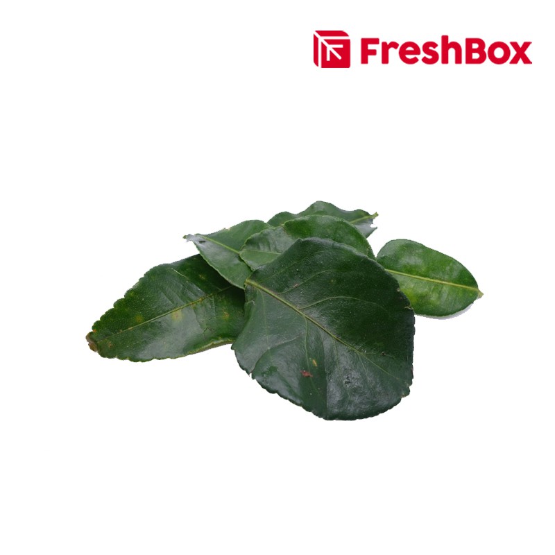 

Daun Jeruk 100 Gr FreshBox