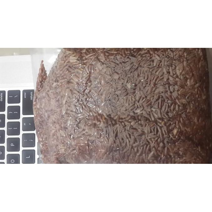 

BERAS MERAH PECAH KULIT (SOSO) 1 KG VACUUM