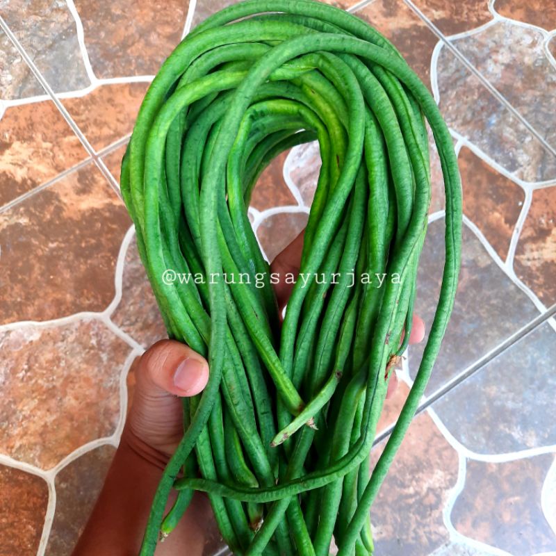 

Kacang Panjang 250 gram