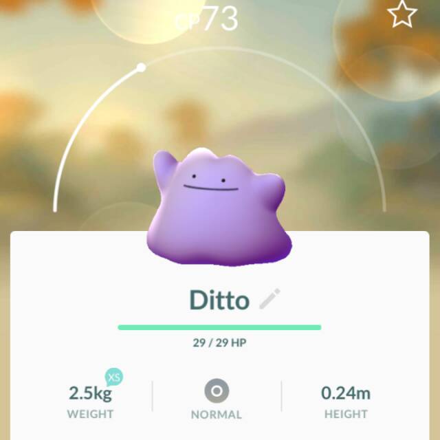 muhammadkholilhushori