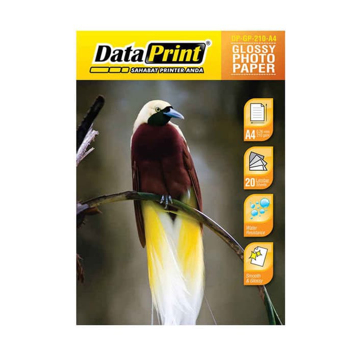 photo paper glossy dataprint 210gram isi 20lbr