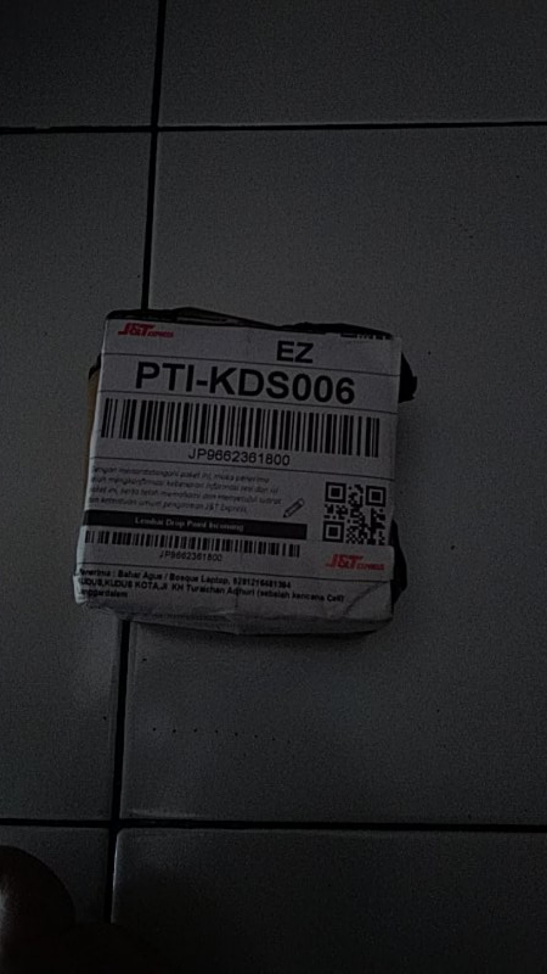 Paku Pines 1 Dus Isi 10 Box