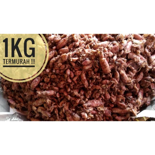 

Baby cumi asin MURAHH !!! 1kg