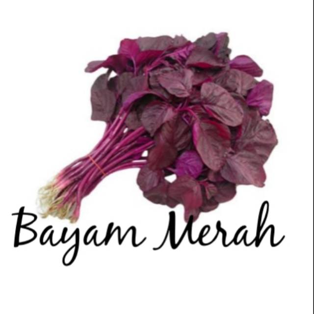 

Sayur Bayam Merah