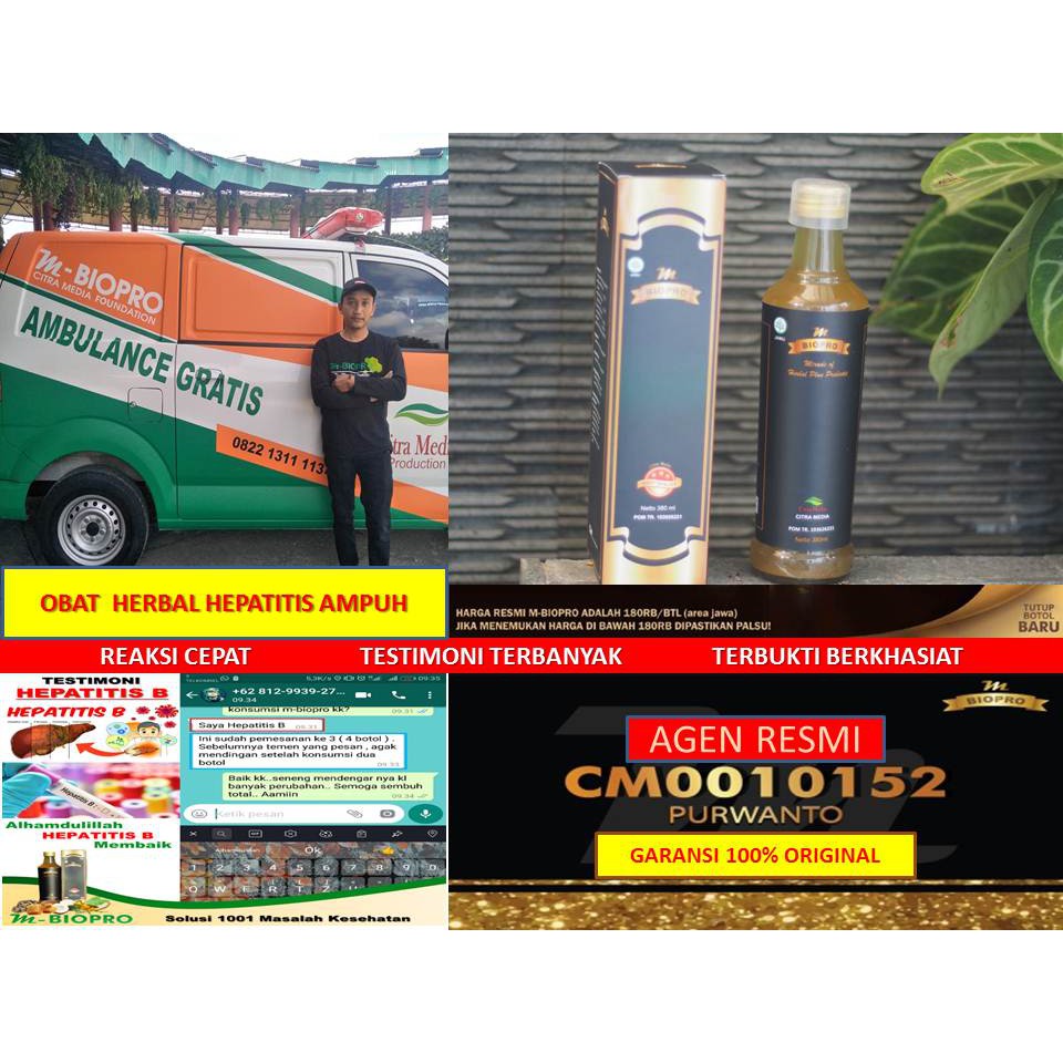 M BIOPRO Terbukti MANJUR  Obat Untuk Hepatitis | Obat Penyakit Hepatitis | Obat Herbal Hepatitis