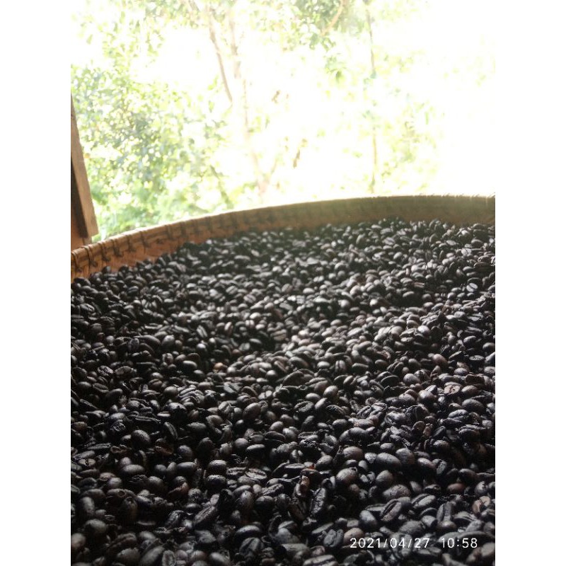 

kopi bogor sangrai asli gandangbatu