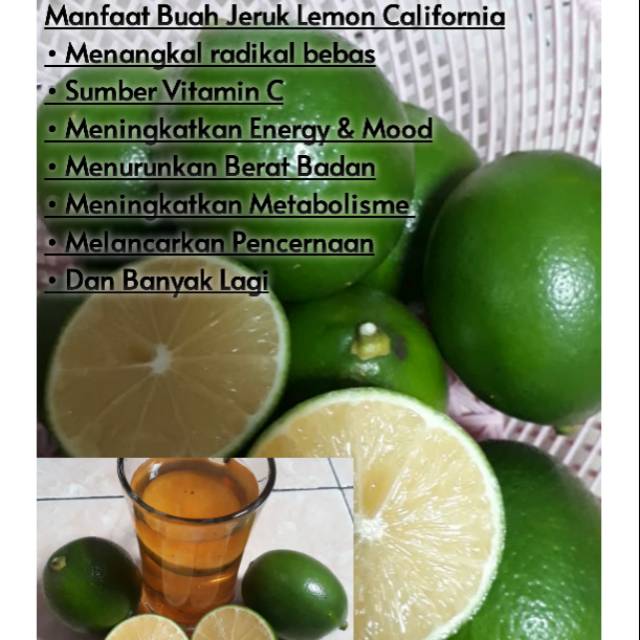 

Lemon Lokal Super