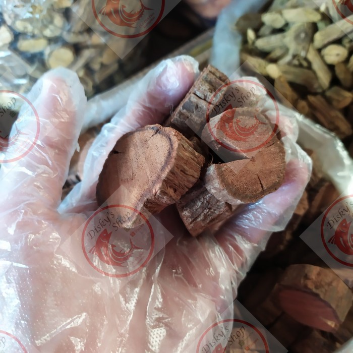 

Akar Bajakah Kalawit Asli Kalimantan Herbal Asli 100 % Grade A 1 Kg