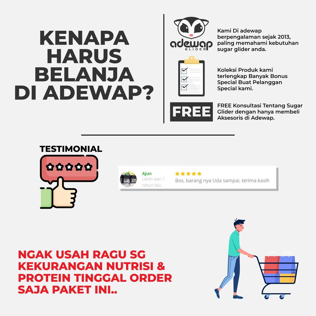 ADEWAP GLIDER Paket Bermain Aksesoris Sugar Glider