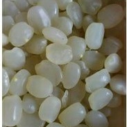 

kolang kaling muda 500 gram kulang kaling cagkaleng aren caruluk