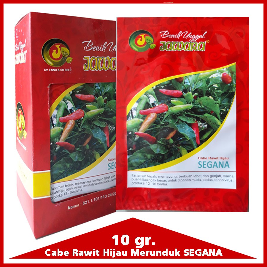 [BENIHBOGOR]10GR BIBIT CABE/CABAI RAWIT HIJAU UNGGUL VARIETAS SEGANA - BENIH CABE RAWIT