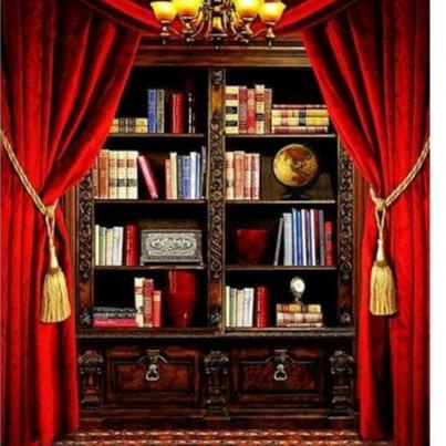 [KODE NTCZQ] Background Foto / Rak Buku/ Latar Belakang Wisuda WS-30 uk 3x2,5m Studio Photo