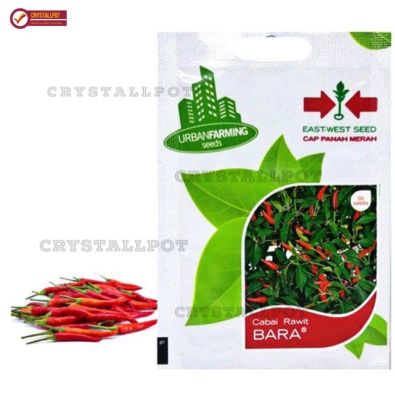 benih bibit cabai rawit bara cap panah merah - CABAI RAWIT BARA