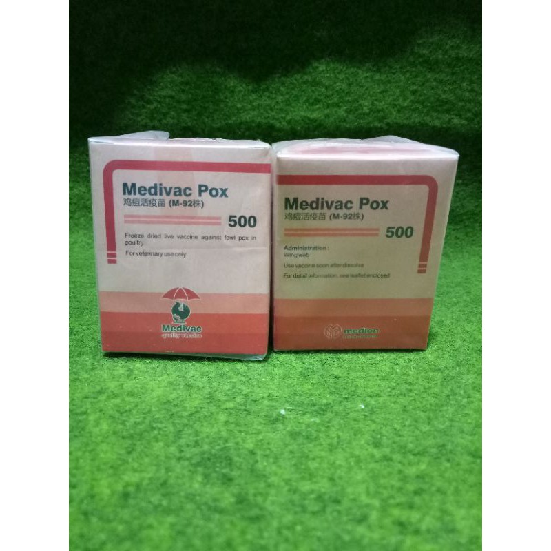 vaksin ayam / pox / mencegah ayam cacar