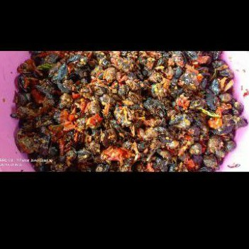

Krengsengan Bekicot [200 gram]