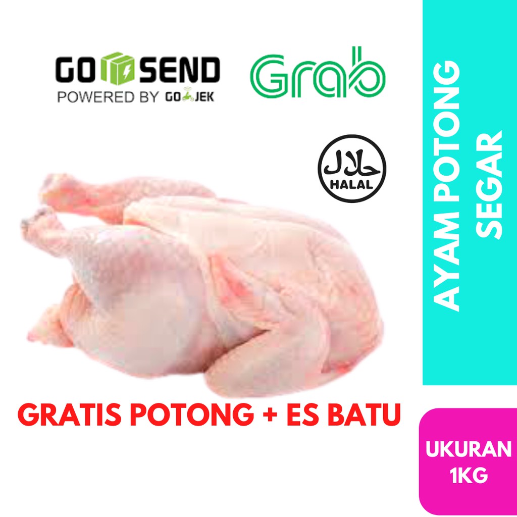 

Ayam Potong Negeri Boiler hidup Segar Fresh Ukuran 1kg