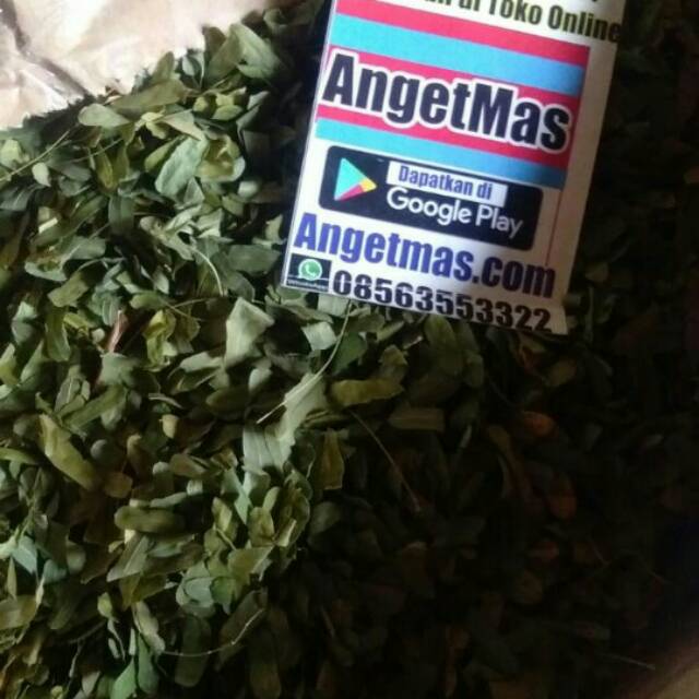 

Daun saga kering