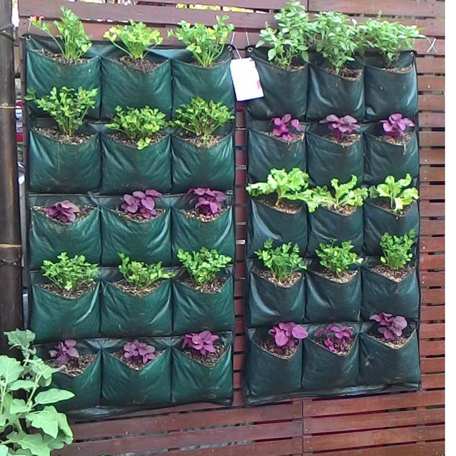 _ ISI Pot Tanaman Pot Bunga Wall Planter Bag Dinding Planterbag Polybag Tanaman Pot Dinding Gantung