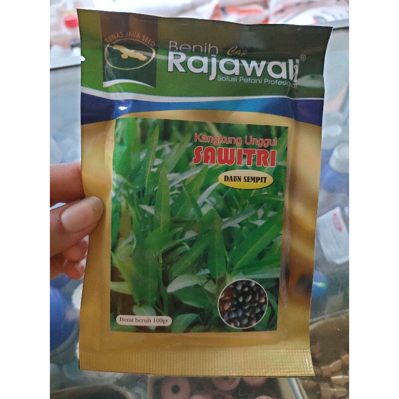 

Kangkung Sawitri Daun Sempit