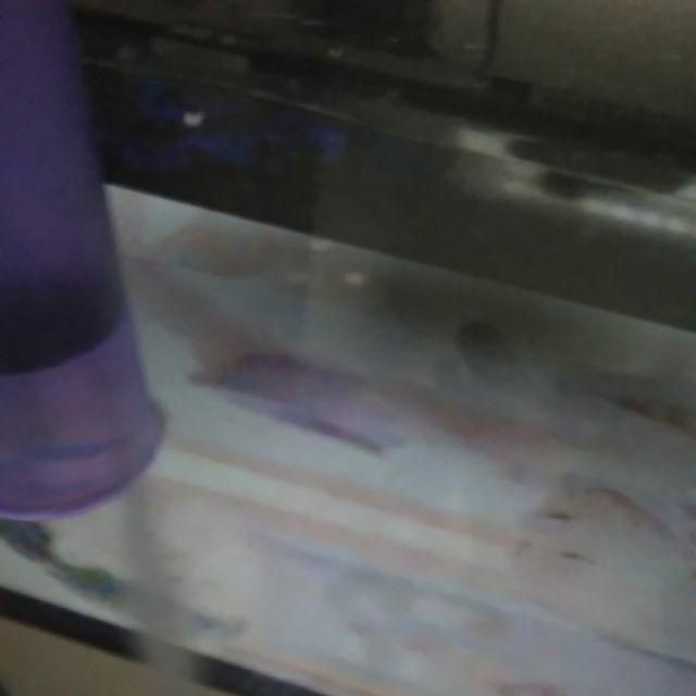 Lunar Furniture - Meja Rias Modern Mr 531 Terlaris