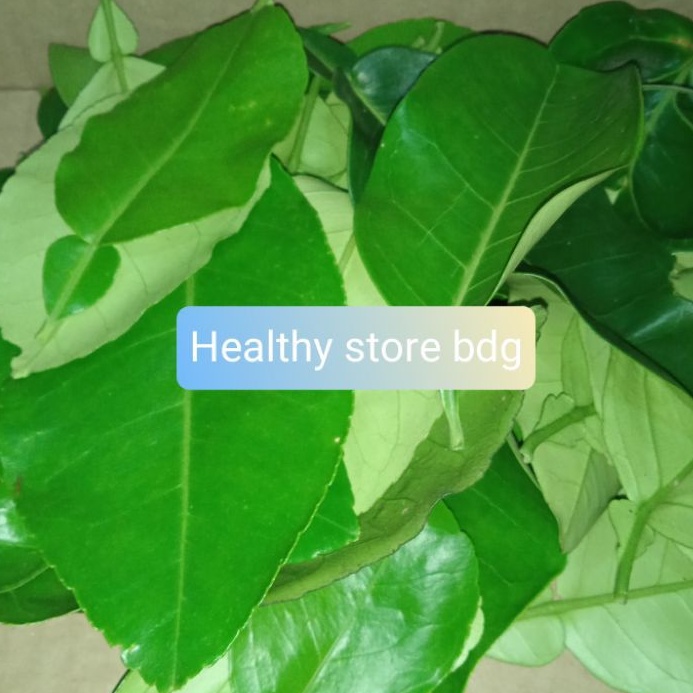 

Daun jeruk bali segar paket 250 gram