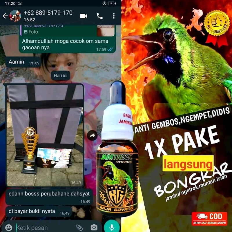 Vitamin cucak ijo doping penggacor burung cucak ijo JAM TROCK RG raja goyang 100%original