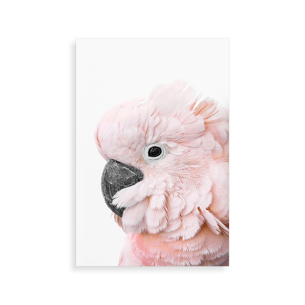 Hiasan Dinding Hiasan Kamar Wall Decor Pink Bird - WD72