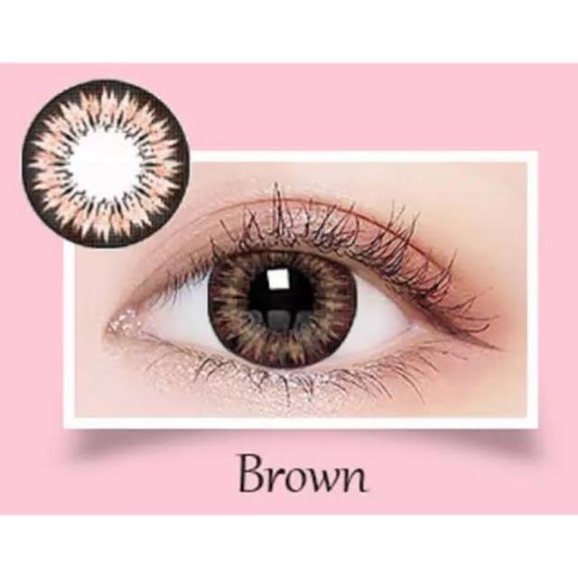 Softlens INNOCENT Big Eyes / Softlen INOCENT by Exoticon Innocents-INNOCENT-BROWN