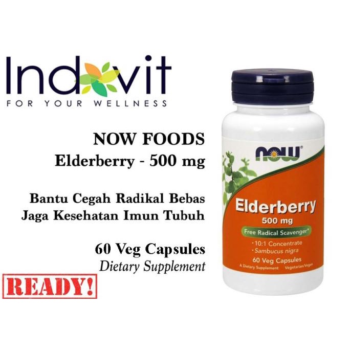 Now Food Elderberry 500 mg 60 Veg Cap Now Elderberry