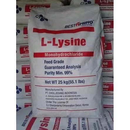 L-Lysine Asam Amino