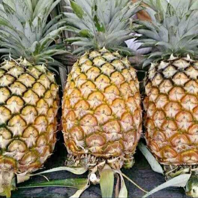 

Buah Nenas Sipahutar