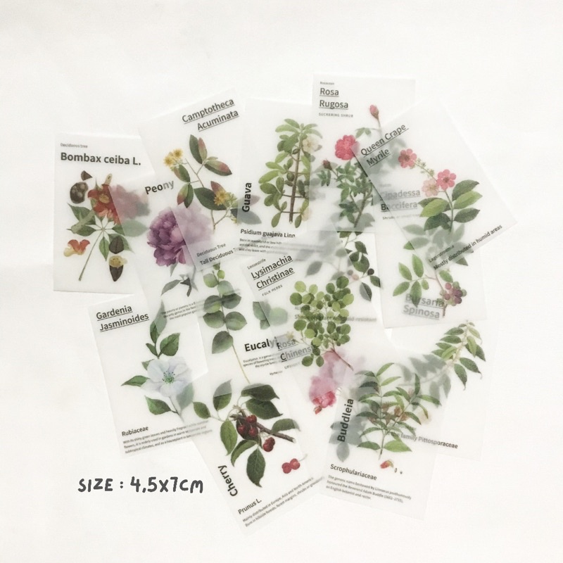 [PART 3] Vintage Flake Perintilan Journal Vintage Kertas Memo Aesthetic Deco Journal Scarpbook-Plant Trans