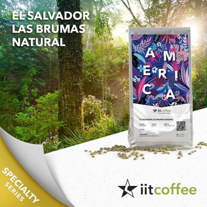 

Arabica Green Beans - El Salvador Las Brumas Natural - 1Kg