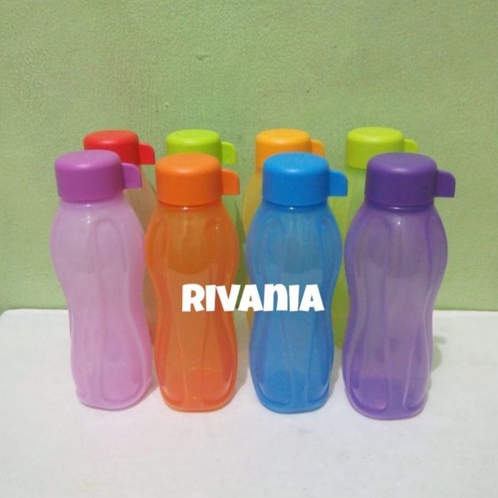 Botol Eco Bottle 310ml Tutup Ulir Tupperware