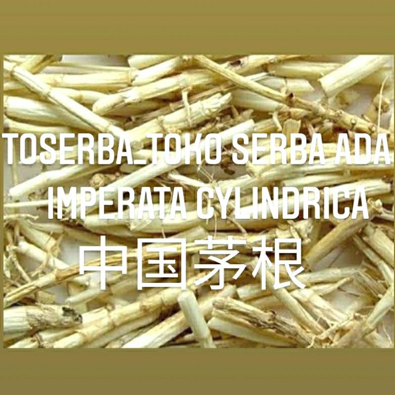 

100gr Herbal Mao Gen Akar Alang Alang 中国茅根 Imperata Cylindrica Woolly Grass Rhizoma Imperatae Asli Tiongkok