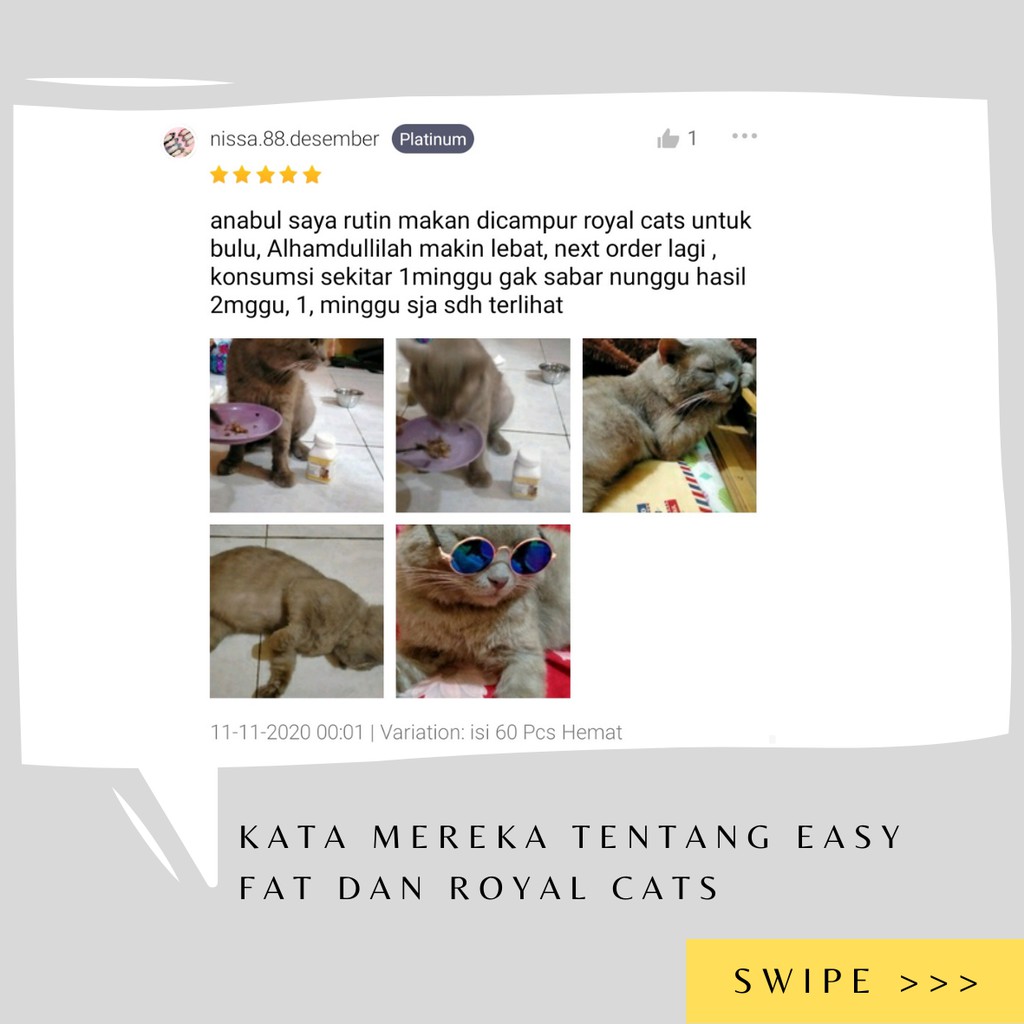 Vitamin Bulu Kucing Rontok Lebat Royal Cats