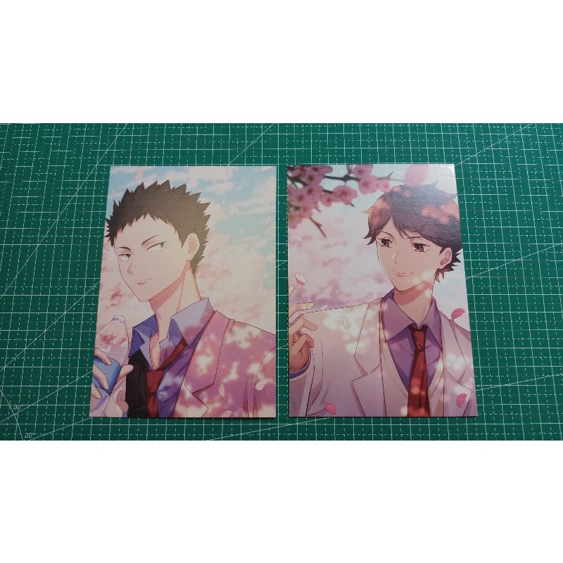 Oikawa Iwaizumi Iwaoi Photocard (Sakura Ver.)