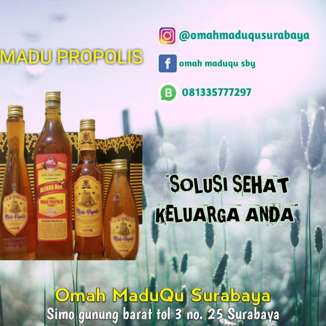 

Madu Propolis 500 gram Alfarabee