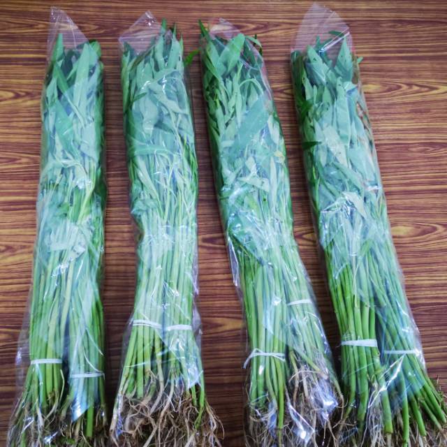 

Sayur Kangkung Segar 4 ikat