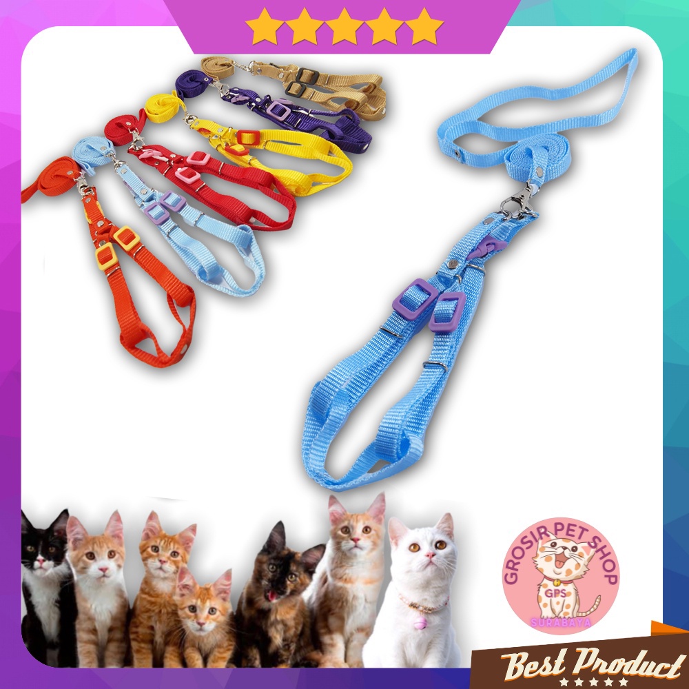 Tali harnes kucing / harness kucing model Y premium motif polos