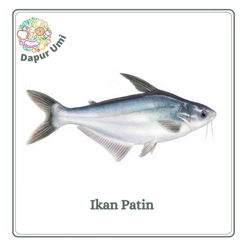 

IKAN PATIN FILET - IKAN SEGAR PURWAKARTA