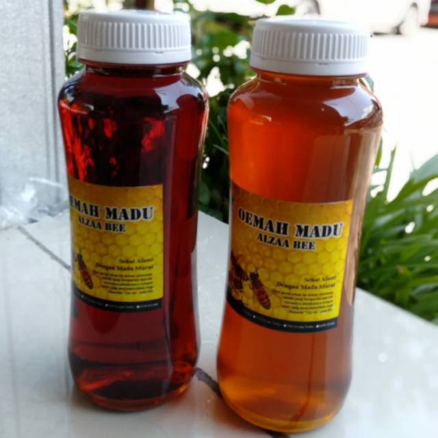

Madu murni sekali