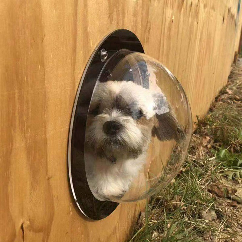 Discount Dog Window For Pet - Durable Acrylic Dog Dome For