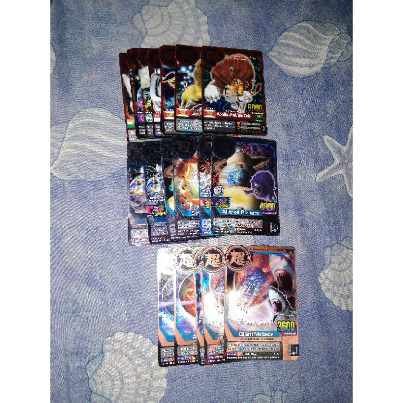 animal kaiser borongan