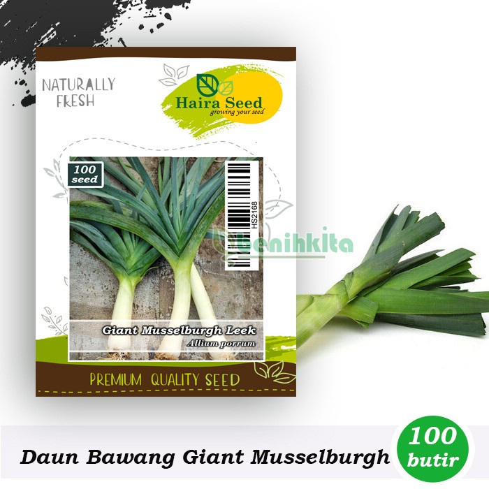 Benih-Bibit Daun Bawang Jumbo Giant Musselburgh (Haira Seed)